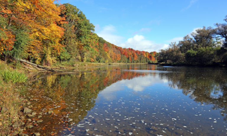 The Grand River in Autumn