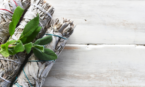 Bundles of sage for Indigenous smudging ceremonies