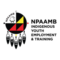 NPAAMB Logo